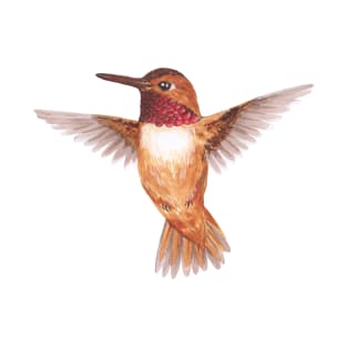 Hummingbird T-Shirt