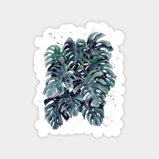 Monstera Leaves 15 Magnet