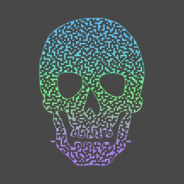 Colorful Skull Shaped Maze by gorff