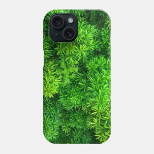 Foxtail fern (Sprenger's asparagus) green plant texture background Phone Case