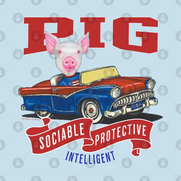 Humor funny and cute Pig driving a vintage classic car to a retro parade with red white and blue flags by Danny Gordon Art