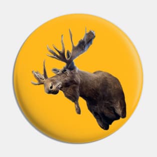 Moose! Pin