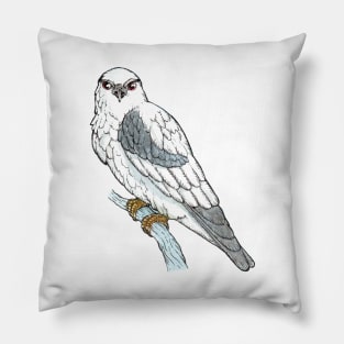 Black-shouldered Kite Pillow