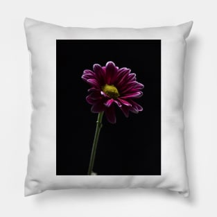 Daisy Flower Profile Pillow