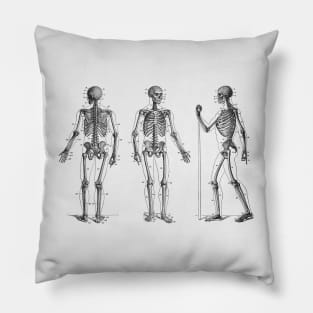 In Motion Skeletal Diagram - Vintage Anatomy Pillow