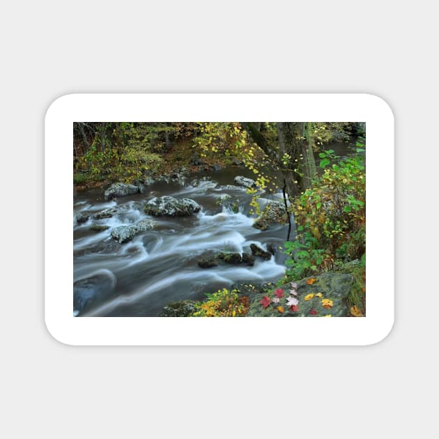 Little River Great Smoky Mountains National Park Magnet by RhysDawson