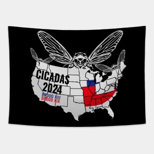 Cicada Map 2024 Cicada Emergence Cicadas Invasion Tapestry
