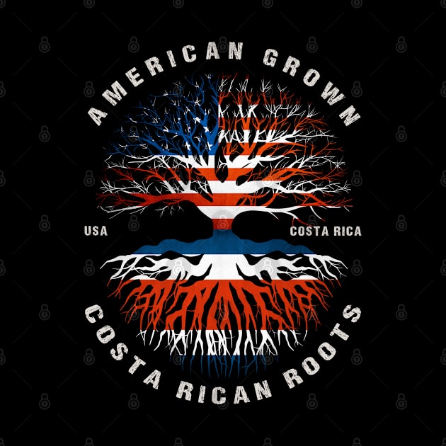 American Grown Costa Rican Roots Costa Rica Flag by heart teeshirt