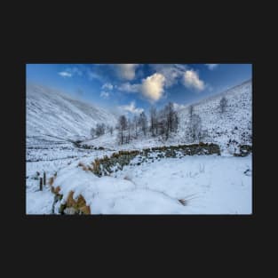 Coquet Valley - Northumberland T-Shirt