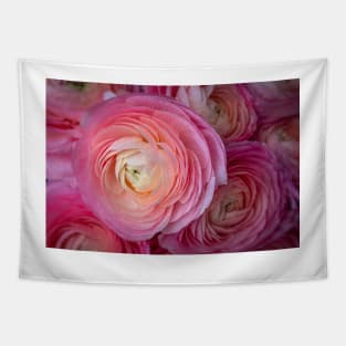 Pink Italian Ranunculus Tapestry