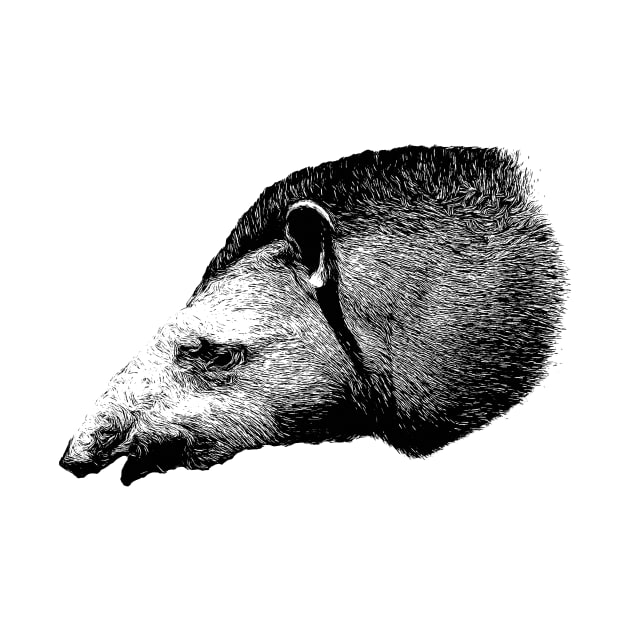 Tapir by Guardi