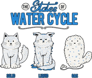 The States of the Water Cycle Magnet