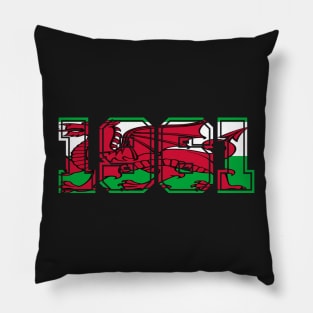 WELSH FLAG 1961 Pillow