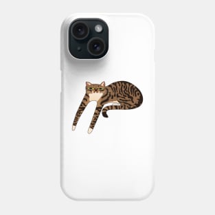 Long Brown Tabby Cat Phone Case