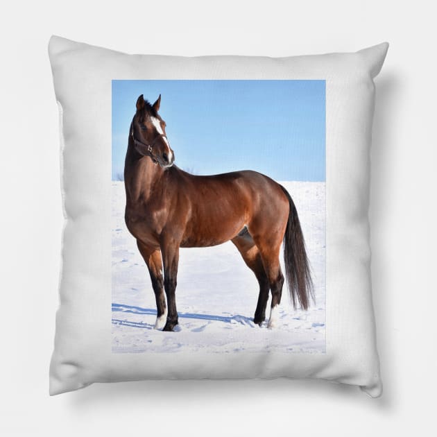 Bourbon Pillow by theartsyeq