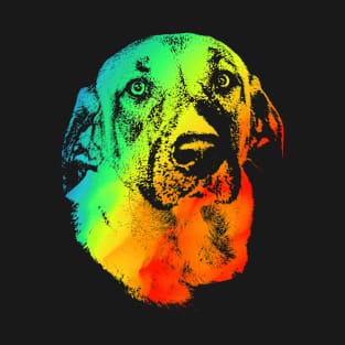 Anatolian Shepherd Lover Colorful Rainbow Style T-Shirt