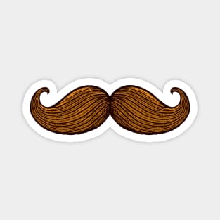 Moustache Magnet