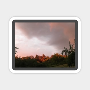 Natural color splendor of the sky before storm with red trees sun reflection Magnet