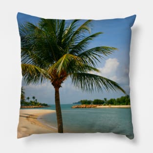 Palm Beach Paradise Pillow