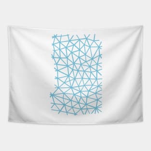 Segment Blue Pink Tapestry