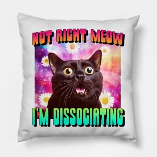 Not Right Meow! Funny Cat Dissociating Pillow