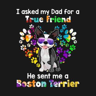 I Asked My Dad For A true Friend He Sent Me A bost T-Shirt