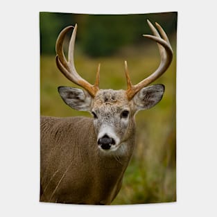 White-tailed Deer Tapestry