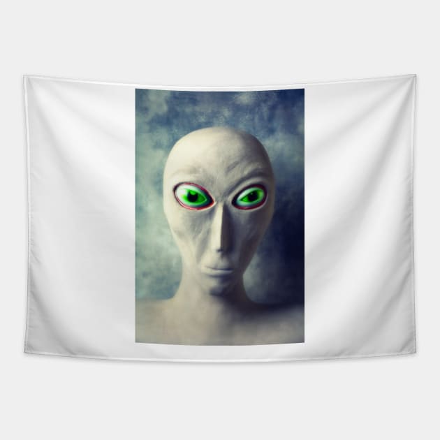 Alien With Big Green Eyes Tapestry by photogarry