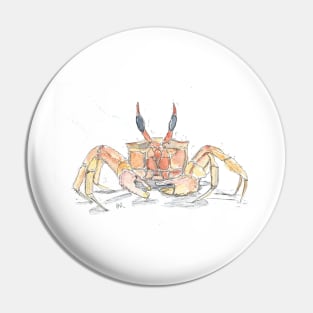 Red ghost crab illustration Pin