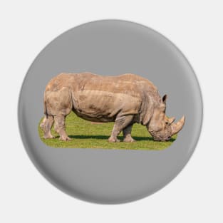 White lipped Rhino Pin