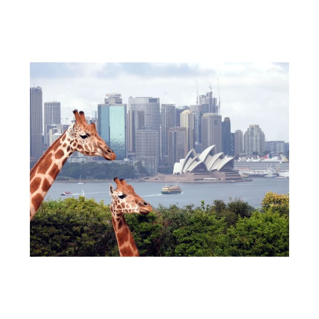 Giraffe at Taronga Zoo Sydney by kirstybush