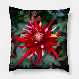 Spiky Red Dahlia Pillow