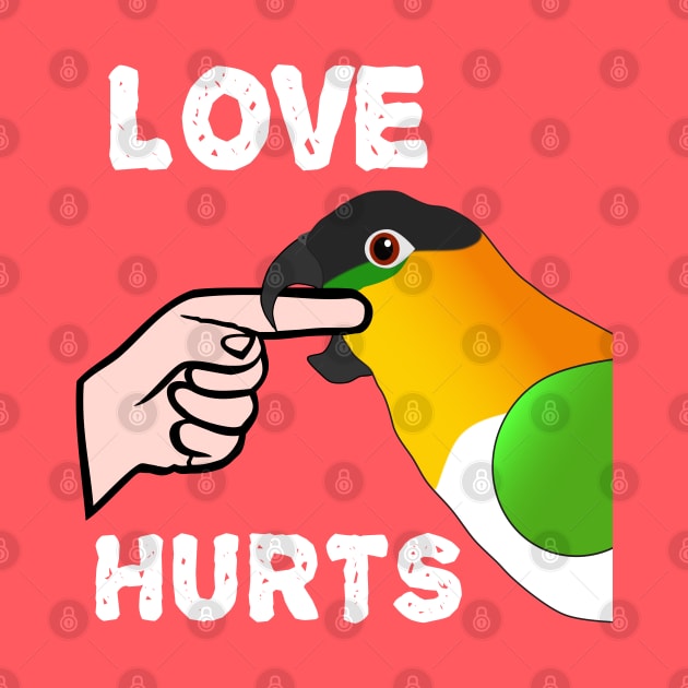 Black Headed Caique Parrot - Love Hurts Biting by Einstein Parrot