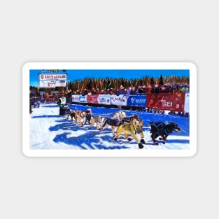 Iditarod Sled Dog Race Start in Alaska Magnet