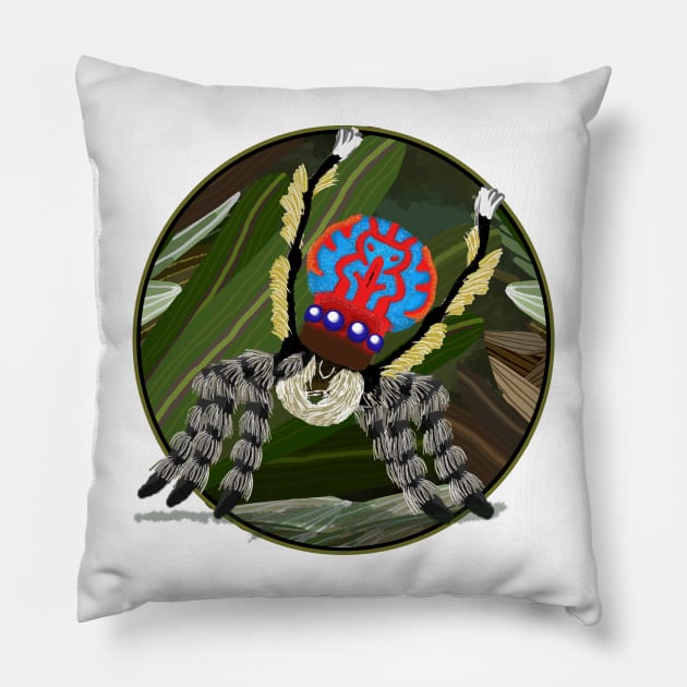Maratus bubo spider No text Pillow by Donnahuntriss