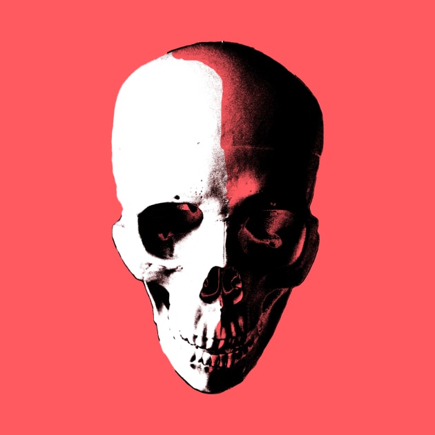 Skull by ALSOTHAT