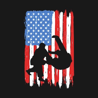 American Flag Hapkido Graphic T-Shirt