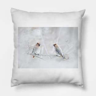 Bohemian Waxwings in winter Pillow