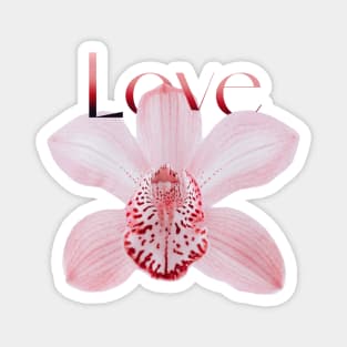 Light Pink Orchid with Text Love Magnet