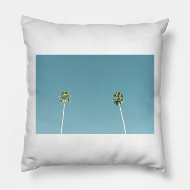 Tall fan palm trees against blue sky Pillow by brians101