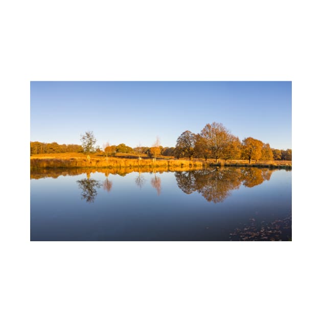 Leg of Mutton Pond in Richmond Park by GrahamPrentice