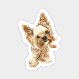 Yorkie Magnet