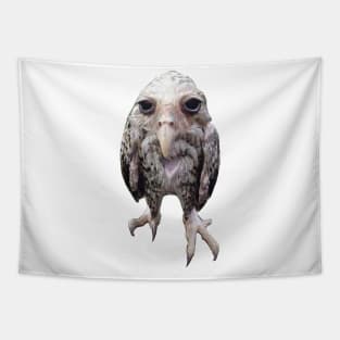 Wet owl Tapestry