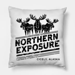 Northern Exposure distressed effect Pillow