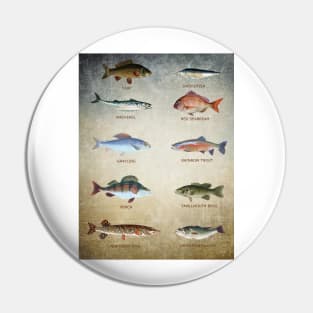 Fish Chart Pin