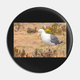 Thinking Gull Pin