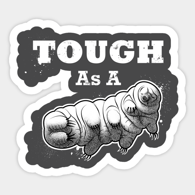 Tough as a Tardigrade - Biology - Sticker