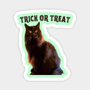 Trick or Treat Magnet