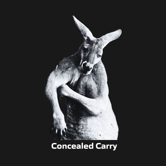 Concealed Carry by The Flying W