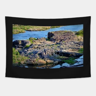 Crocodile River Tapestry